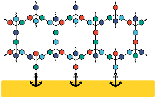 Graphical abstract of linked paper.