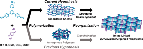 Graphical abstract of linked paper.
