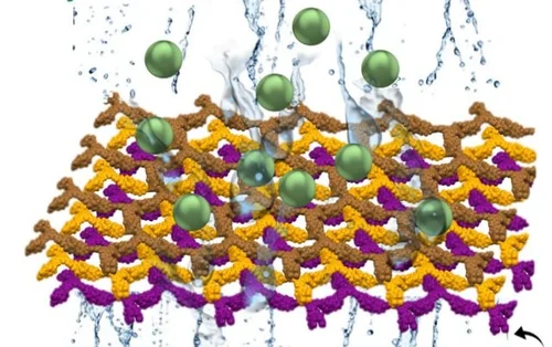 Graphical abstract of linked paper.