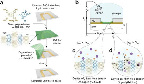 Graphical abstract of linked paper.