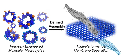 Graphical abstract of linked paper.