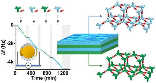 Graphical abstract of linked paper.