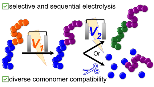 Graphical abstract of linked paper.