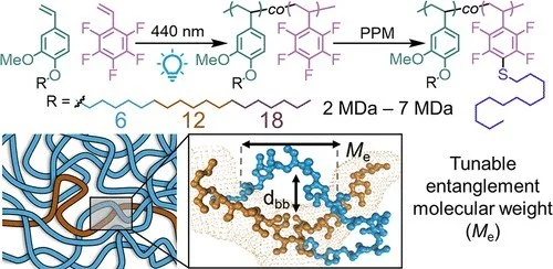 Graphical abstract of linked paper.