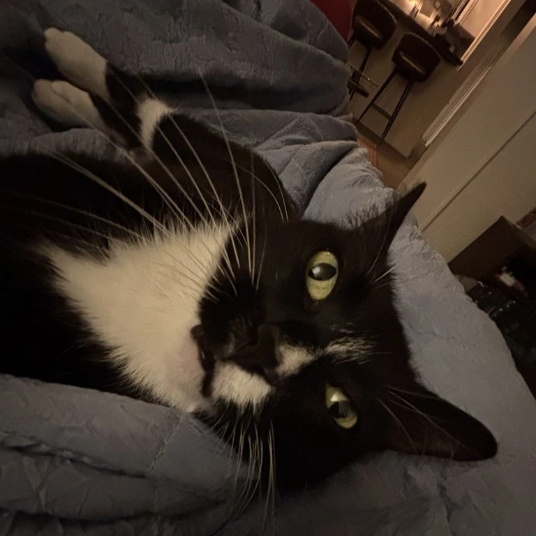 Faculty Member Nubs